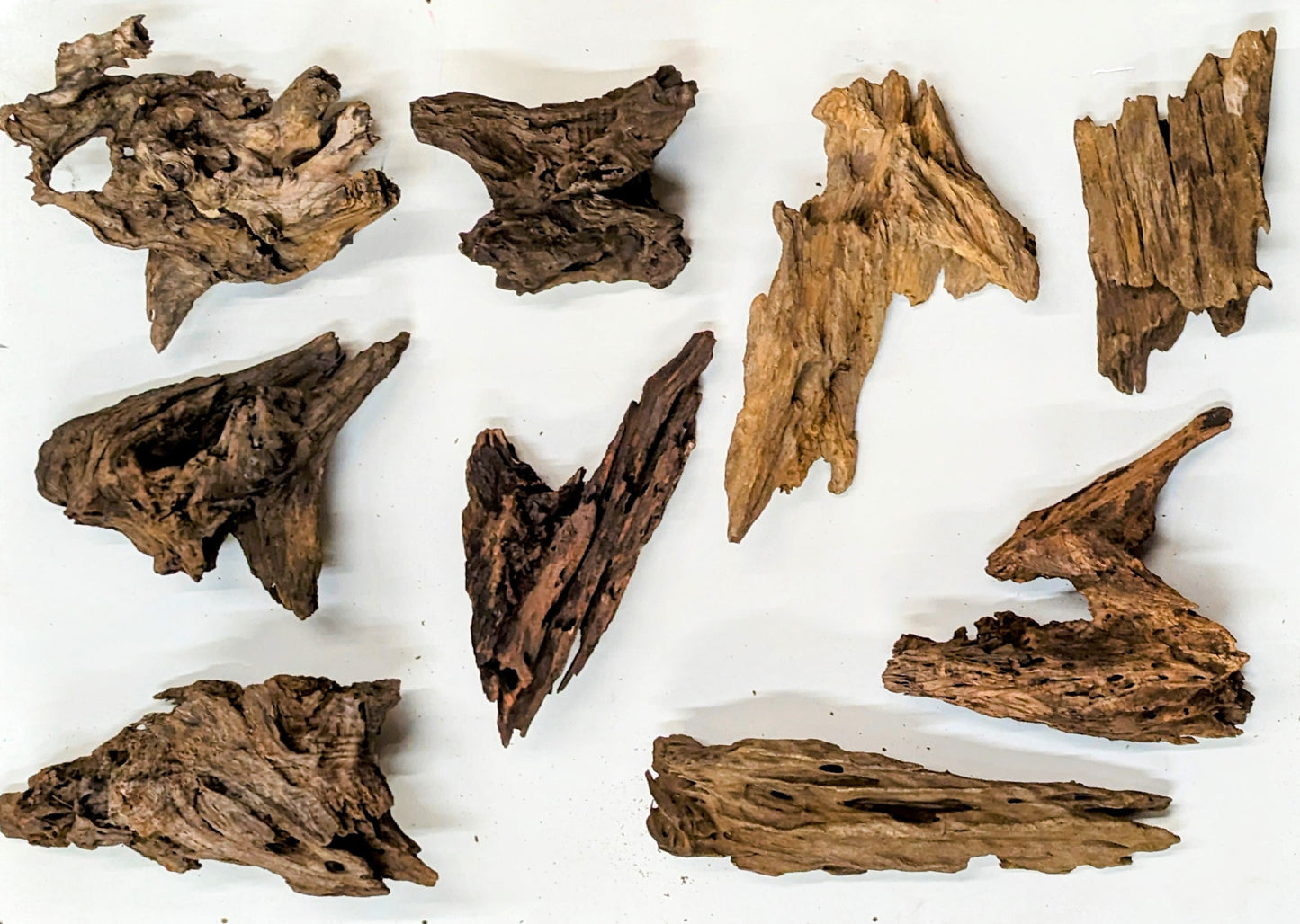 Wholesale Driftwood Canada | Dodo Wood Medium | CA Industries