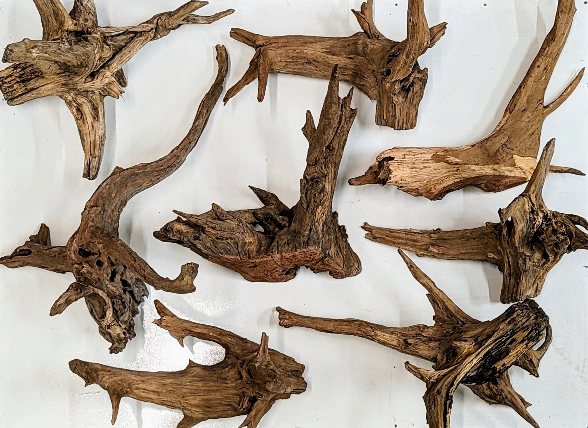 Wholesale Driftwood Canada | Branched Wood Medium | CA Industries