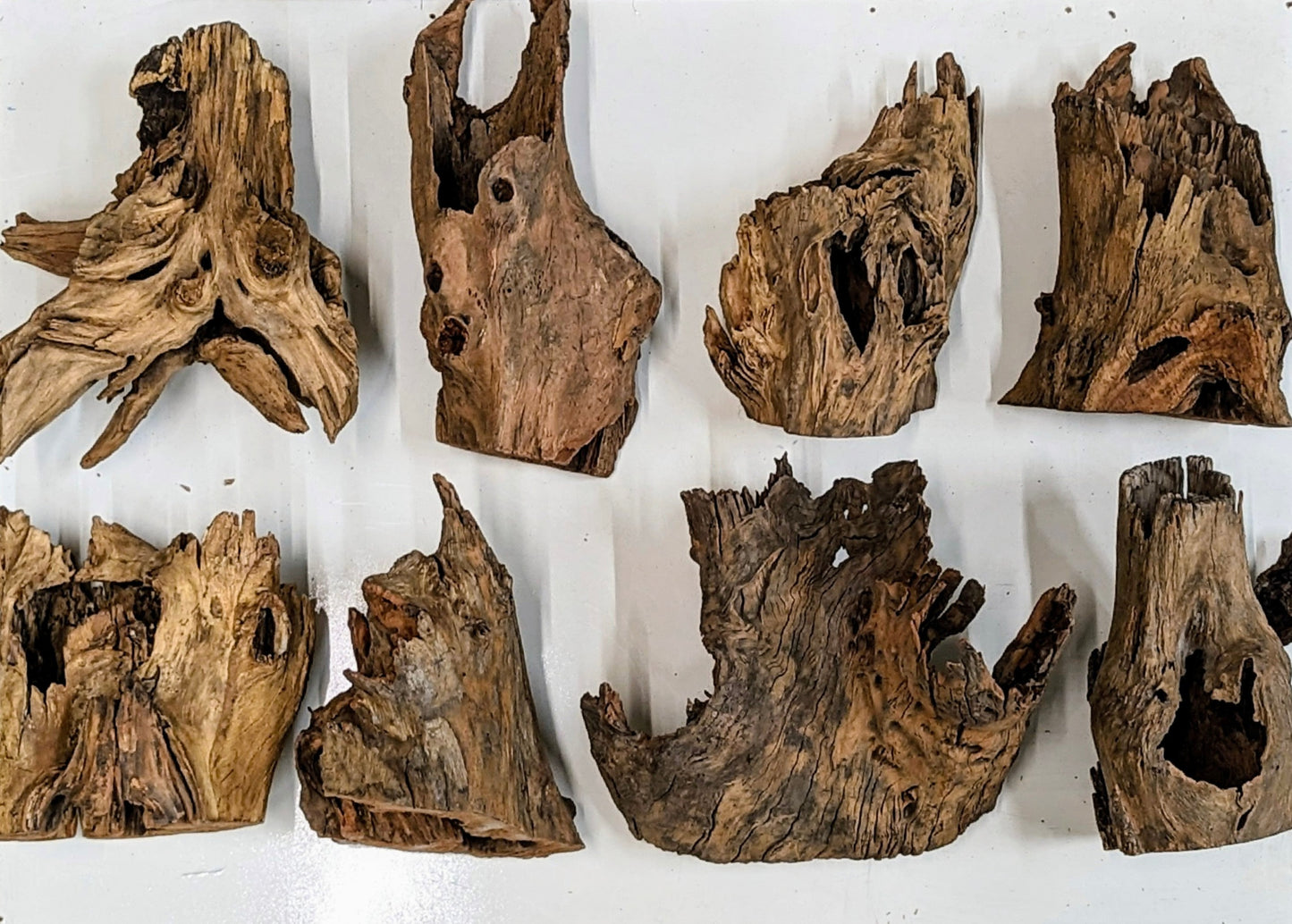 Wholesale Driftwood Canada | Stump Wood Medium | CA Industries