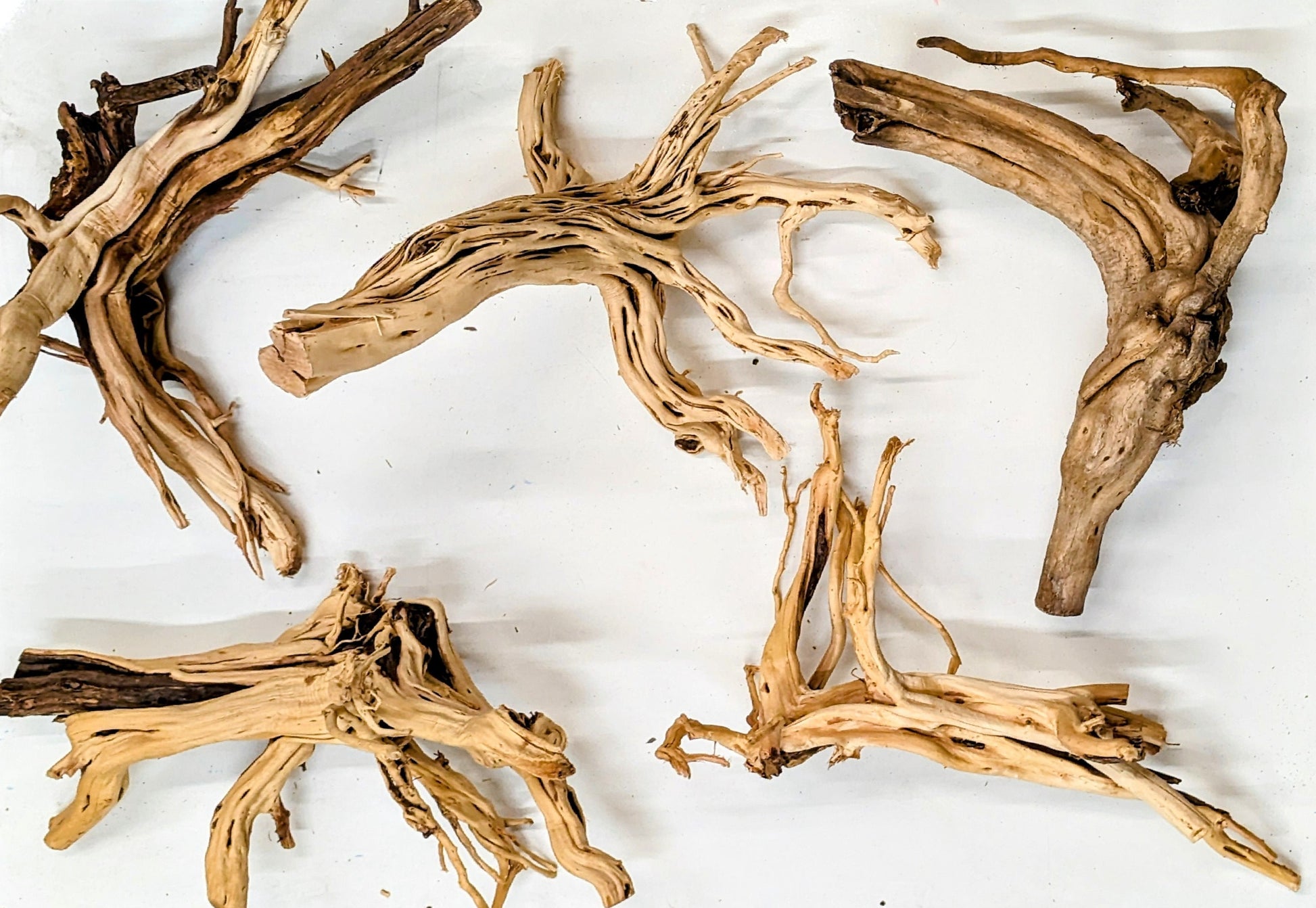 Wholesale Driftwood Canada | Spider Wood Large | CA Industries